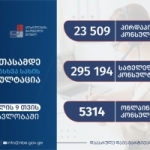 Statistics of consultations provided to citizens during 9 months